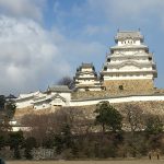 IMG_5909